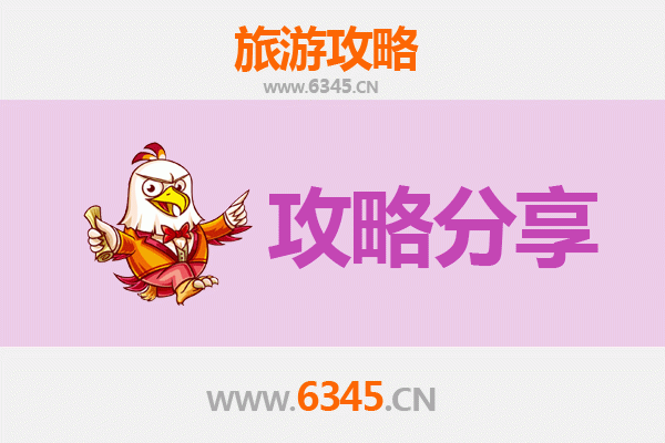 天津北辰旅游攻略：跟团与自由行全方位对比